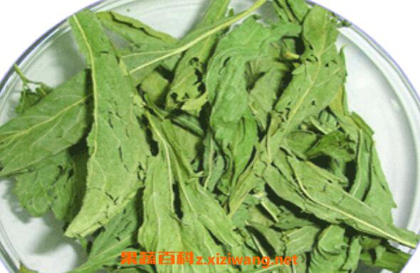 甜菊叶和什么一起吃最好 甜菊叶的禁忌