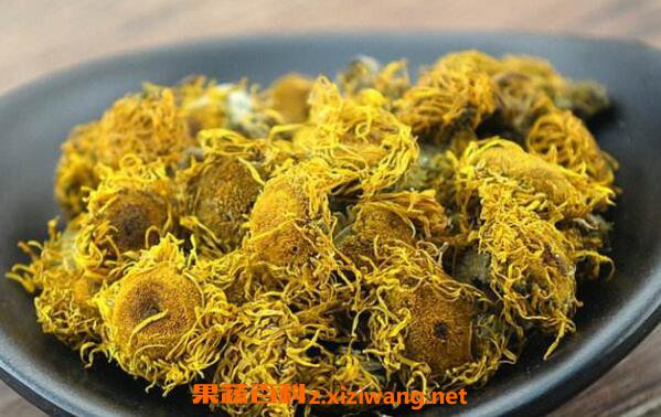 旋覆花的功效与作用 旋覆花的常见用法