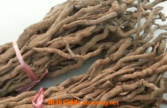 野胡椒根的功效与作用及药用价值