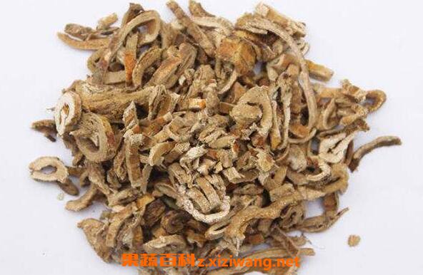 桑树根皮的功效与作用及药用价值