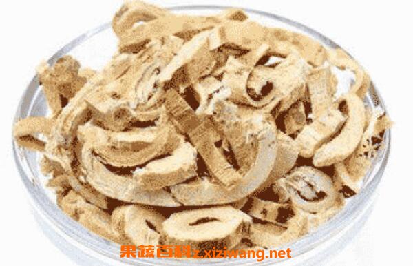 桑树根皮的功效与作用及药用价值