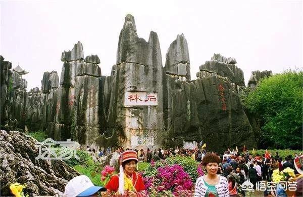 如果让你选择，你会选择去云南的哪个地方旅游？