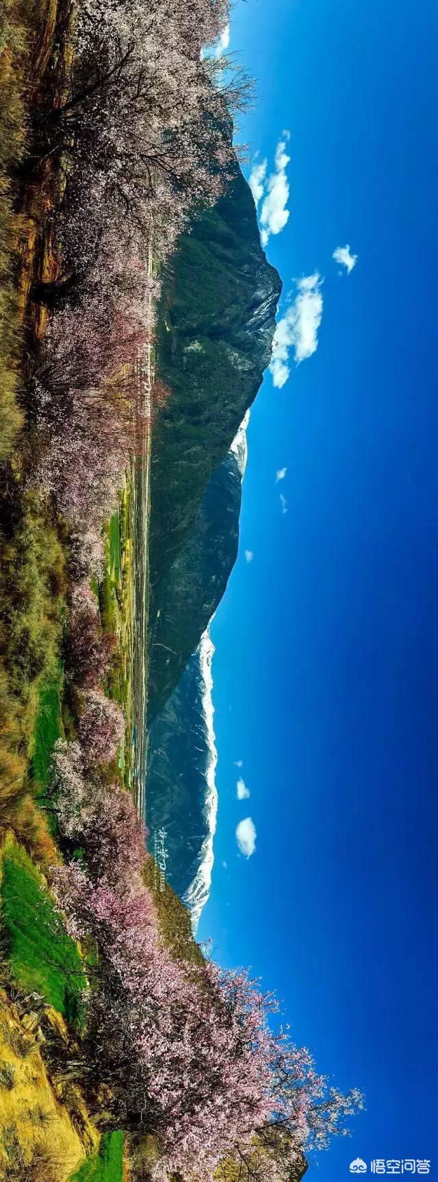 三月西藏林芝桃花节,去哪儿看最好?