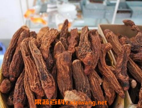锁阳酒的功效与作用 喝锁阳酒的禁忌