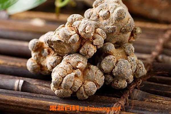 熟三七的功效与作用 熟三七的药用价值有哪些