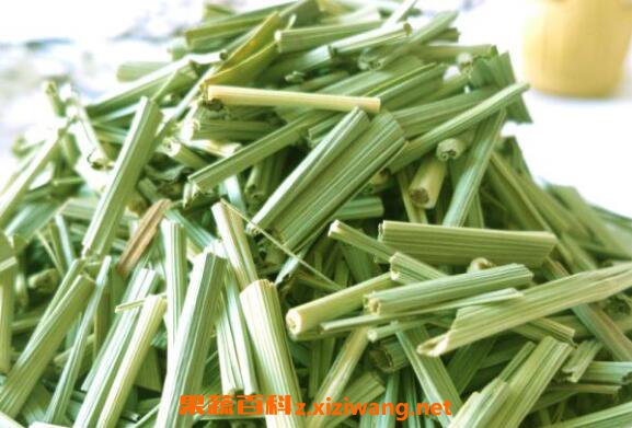 香茅草的功效与作用 香茅草的药用价值