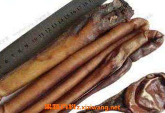 牦牛鞭的功效与作用及食用方法