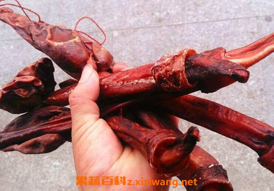 牦牛鞭的功效与作用及食用方法