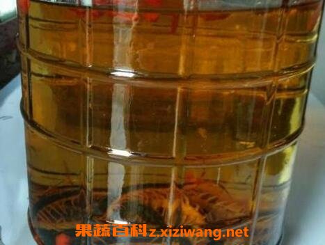 百脚虫泡酒的功效与作用