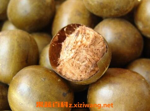 罗汉果怎么吃 罗汉果的吃法技巧
