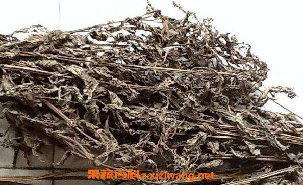溪黄草与茅岩莓的区别
