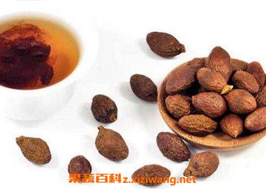 胖大海的功效与作用及常见用法