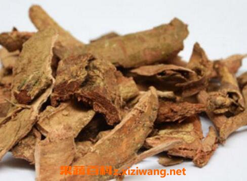 生地榆的功效与作用