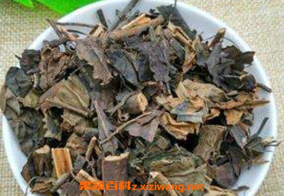 九节茶根的功效与作用 九节茶根的药用价值