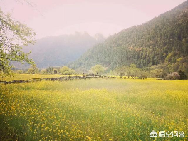 八月下旬进入西藏旅游需要准备什么装备?