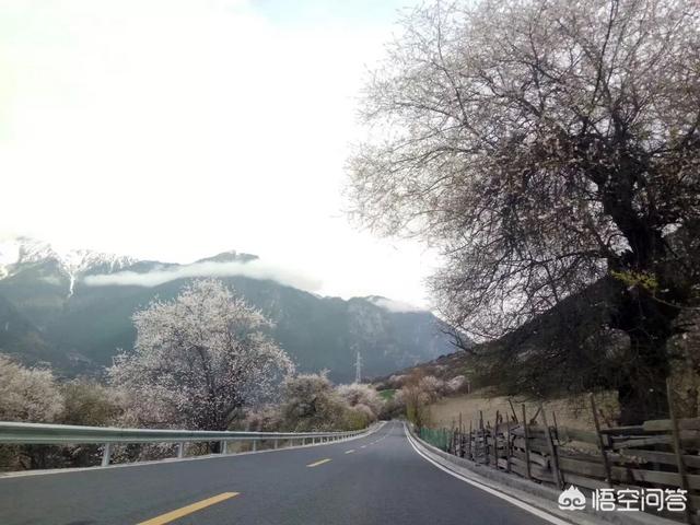 八月下旬进入西藏旅游需要准备什么装备?