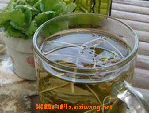 山楂蒲公英泡水的功效与作用