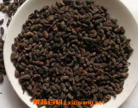 女贞子的功效与作用 女贞子的常见吃法