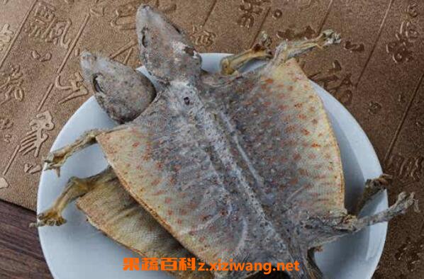 蛤蚧的功效与作用 蛤蚧的吃法