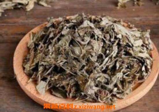 女人用艾叶泡脚的好处 艾叶泡脚的功效与作用