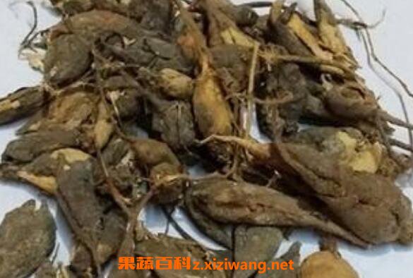 豬仔笠的功效與作用 豬仔笠還有什么名稱