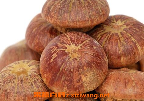 肾果的药用价值与功效作用