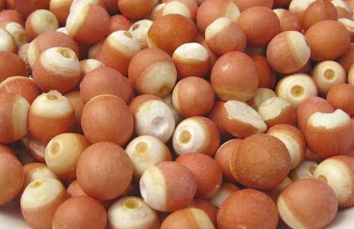 芡实怎么吃 芡实的食用方法