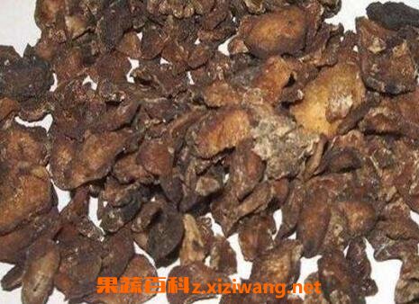 制半夏的功效与作用及药用价值