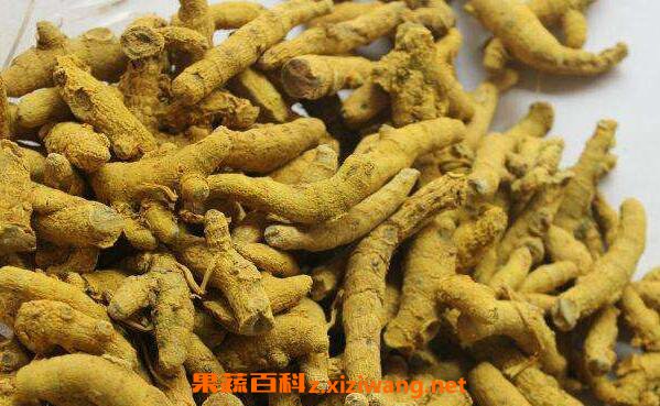 姜黄卵磷脂的功效与作用
