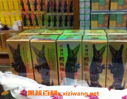 正鳄鱼油的功效与作用