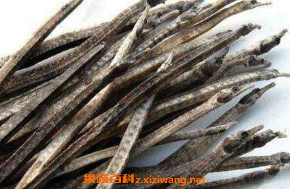 海龙的功效与作用有哪些