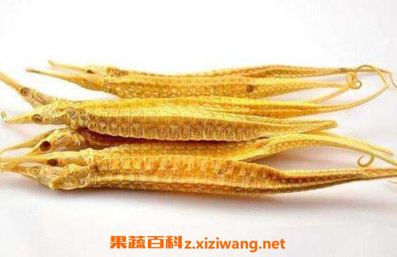 海龙的功效与作用有哪些