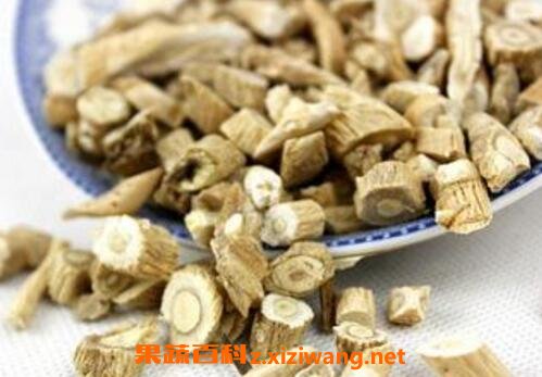 板蓝根有哪些功效与作用