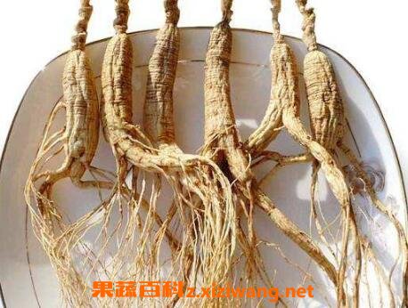 移山参的功效与作用及药用价值