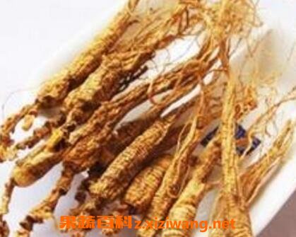 移山参的功效与作用及药用价值