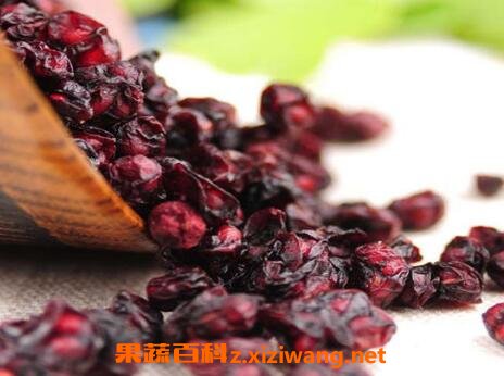 五味子的功效與作用與常見用法