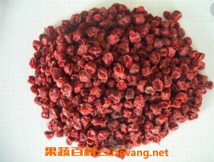 五味子的功效與作用與常見用法