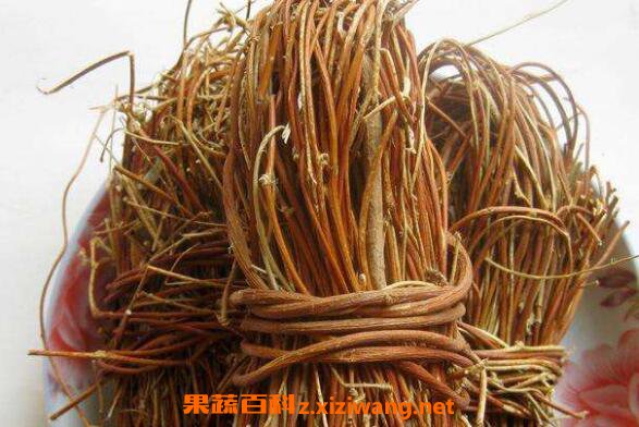 鸡骨草的功效与作用 鸡骨草不能和什么同吃