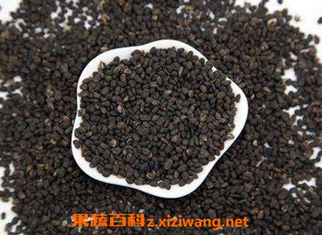 补骨脂的功效与作用及药用价值