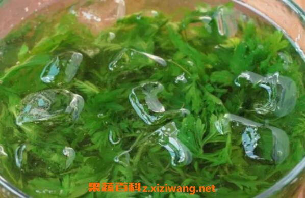 干艾叶熬水洗脸好处有哪些 干艾叶熬水洗脸的药用价值