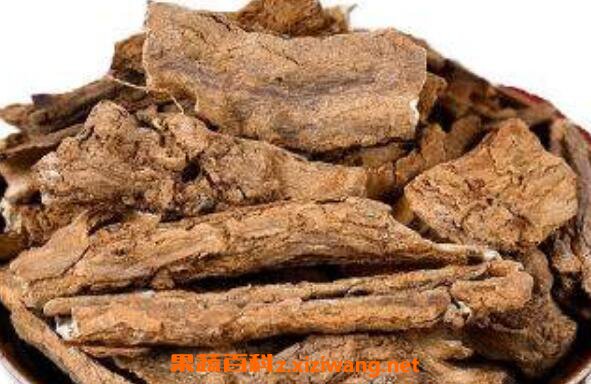 黄泡根的功效和作用及药用价值