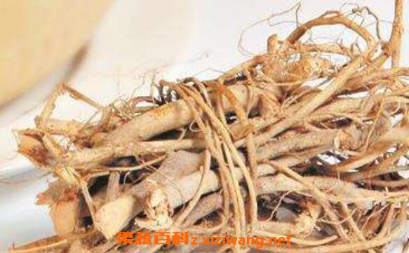 黄泡根的功效和作用及药用价值