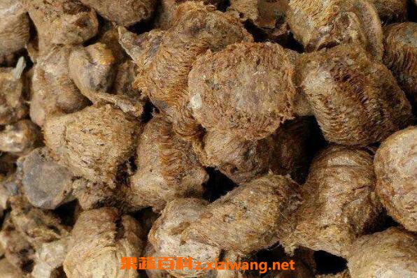桑螵蛸泡水喝的功效与作用