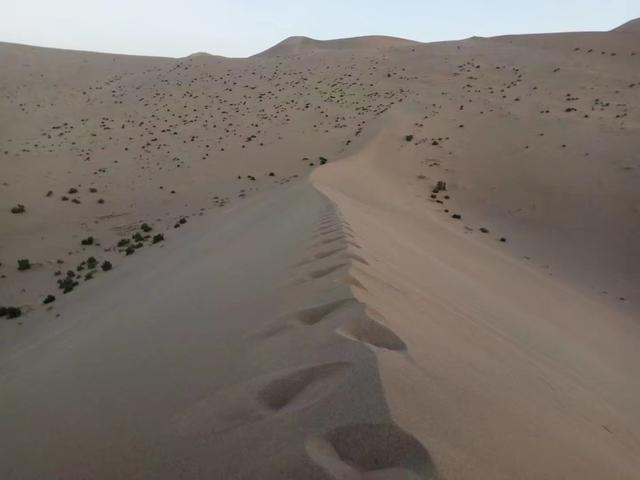 徒步去西藏旅行的都是些什么人?
