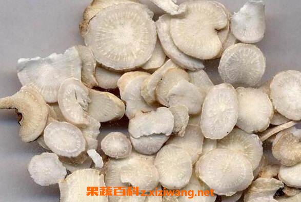 白芍药的功效与作用 白芍药的食用方法