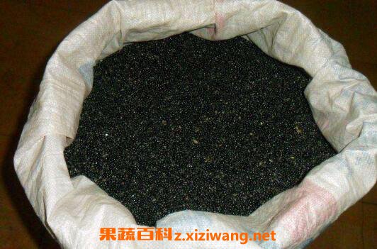白鲜皮的功效与作用 白鲜皮种子功效