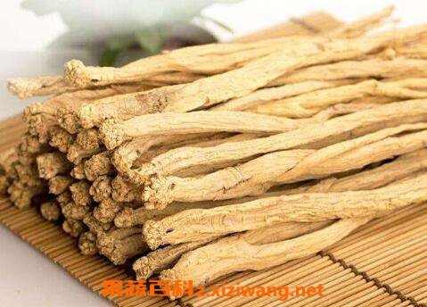 党参的功效与作用及药用价值