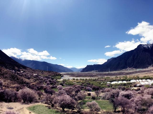 成都出发自驾到西藏旅游需要多少天?