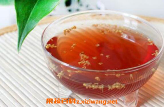 五味子泡水喝有什么作用 五味子泡水喝的害处