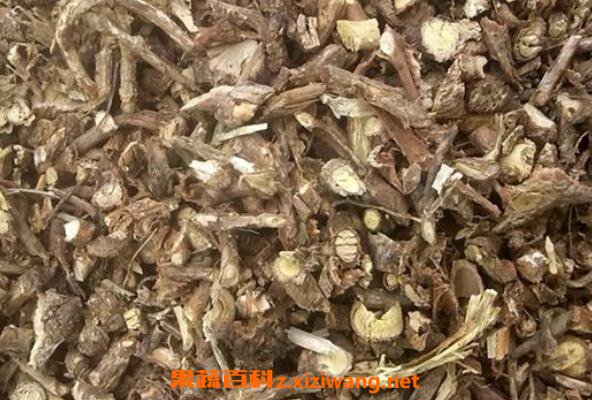 山捻子根的功效与作用 山捻子根的药用价值